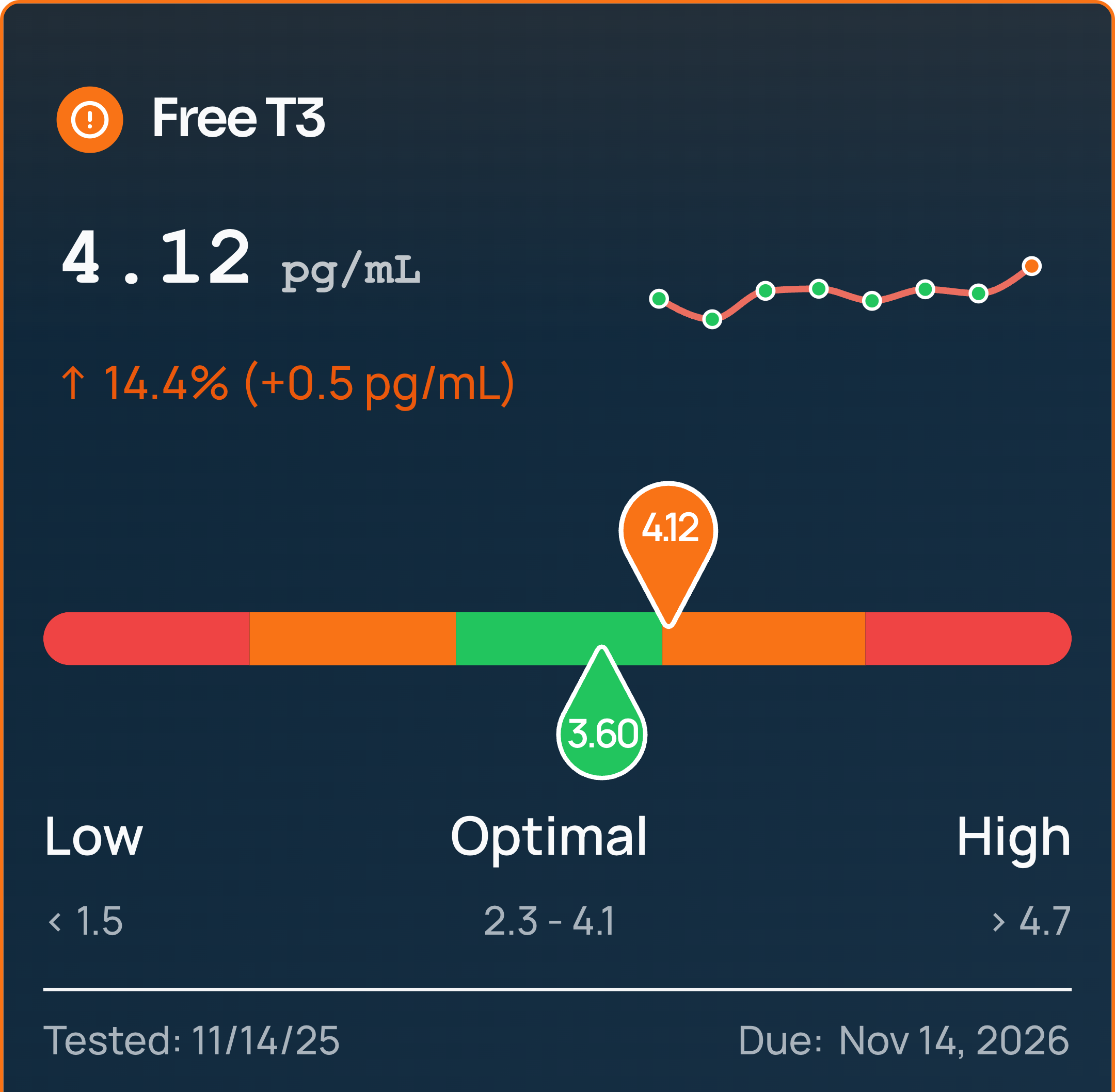 MedReport-Free-T3-2025-12-09
