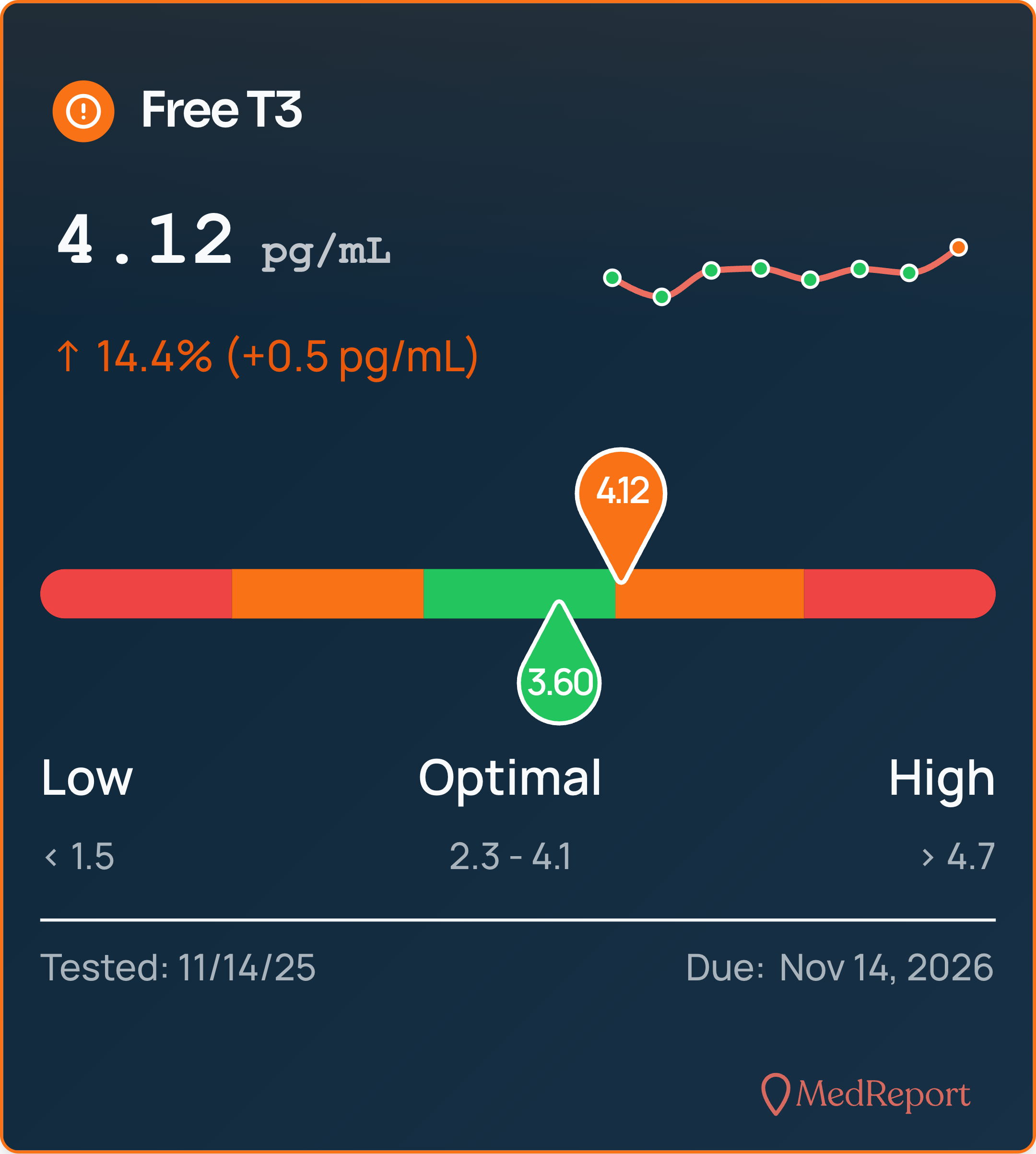 MedReport-Free-T3-2025-12-09