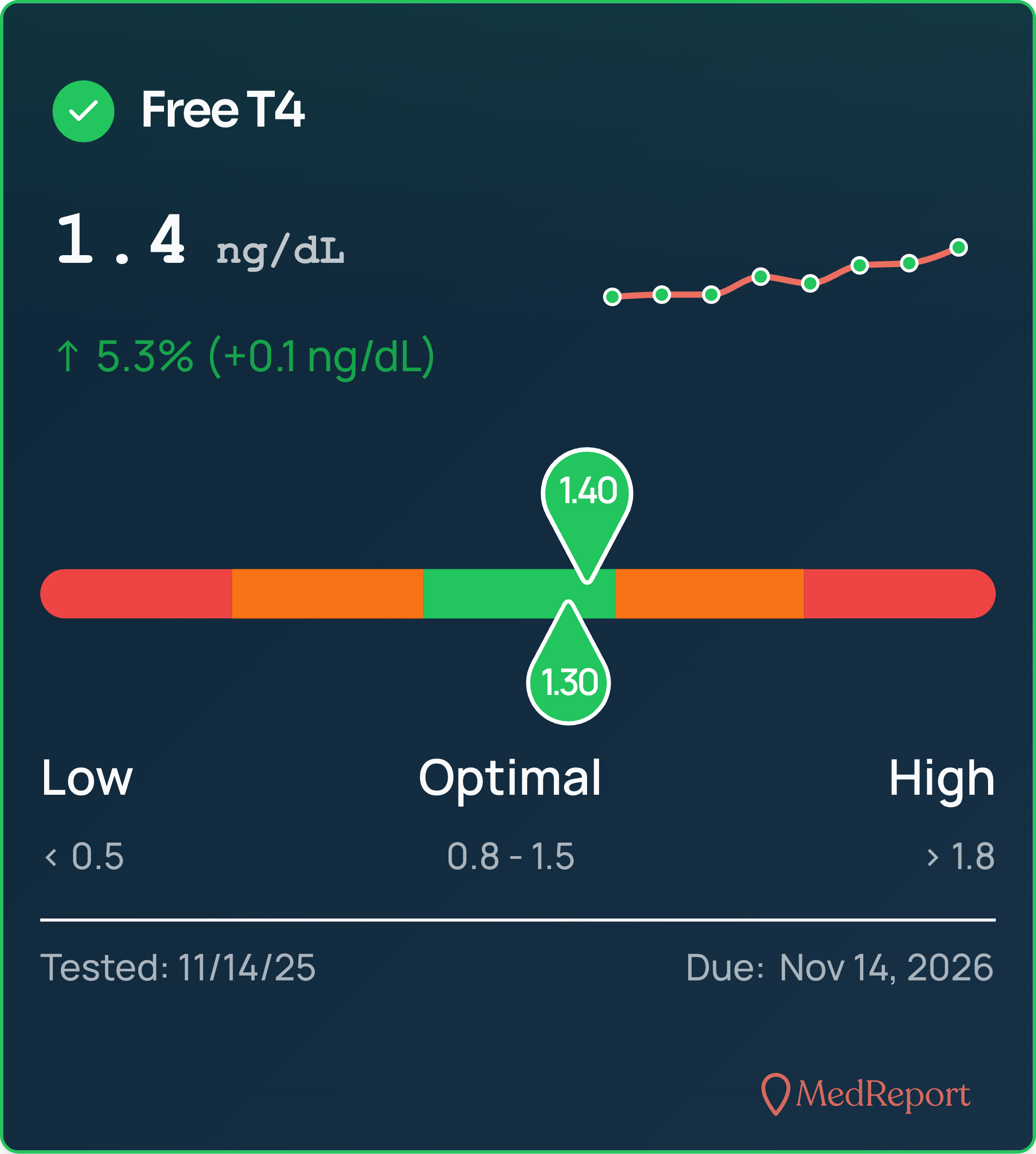 MedReport-Free-T4-2025-12-09 (1)