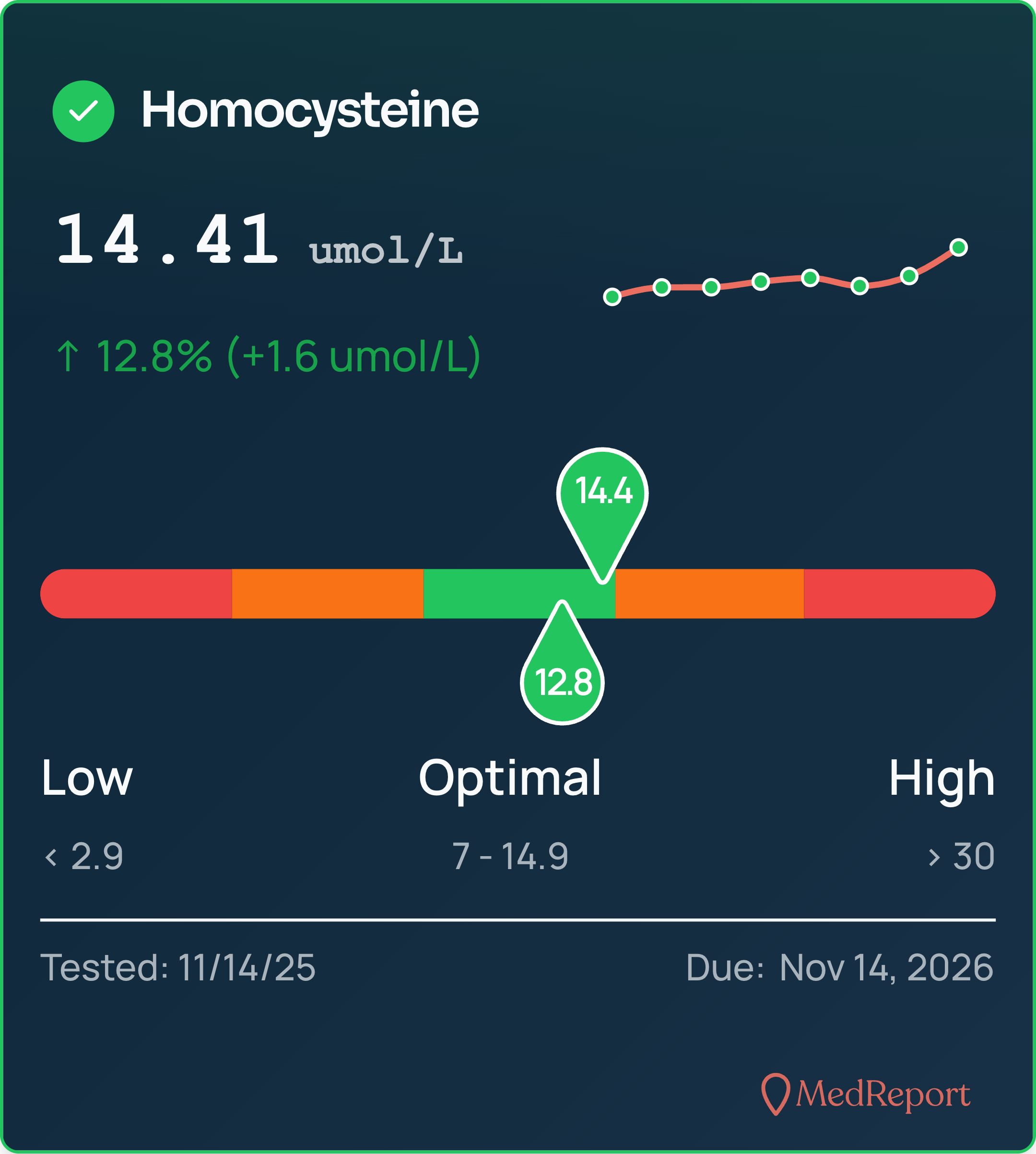 MedReport-Homocysteine-2025-12-09